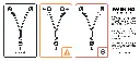 Pack Tether.webp